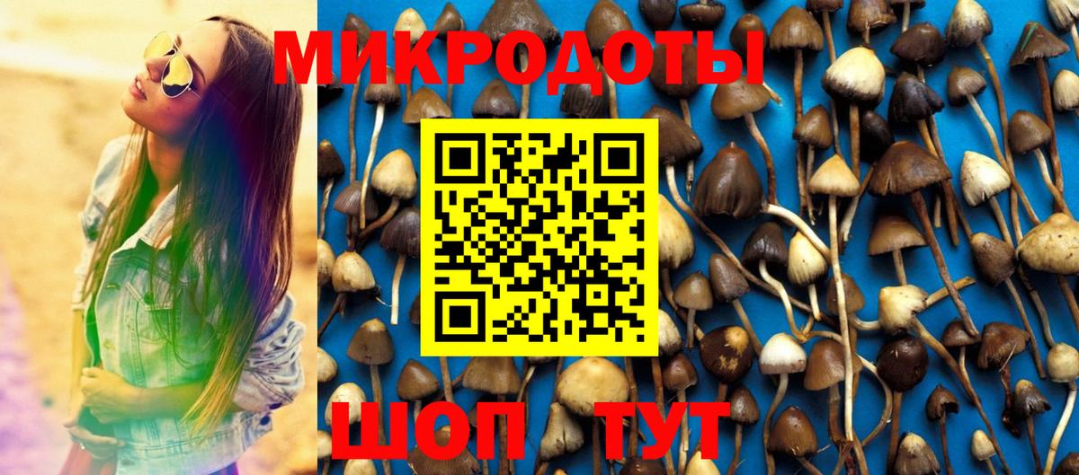 Псилоцибиновые грибы мухоморы  Вход с VPN  Курчалой  Галлюциногенные грибы прущие грибы 